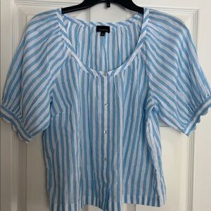 Talbots Blue and White Striped Button-Front Blouse